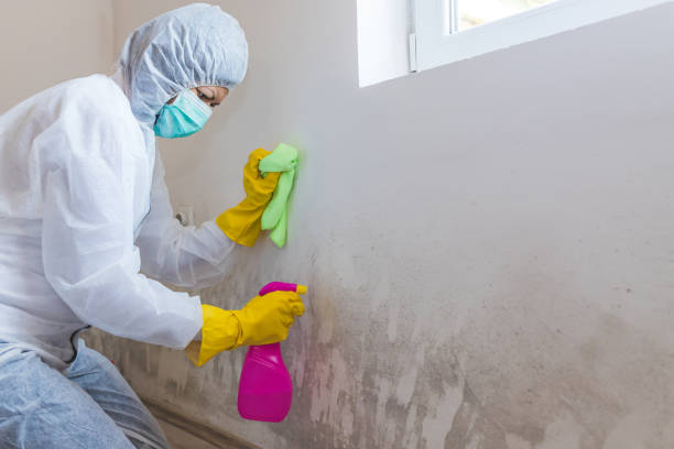 Best Mold Remediation for Healthcare Facilities  in Gettysburg, PA